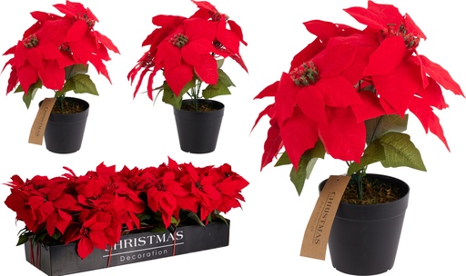 [KM-MT1001040] POINSETTIA EN MACETA - 30CM