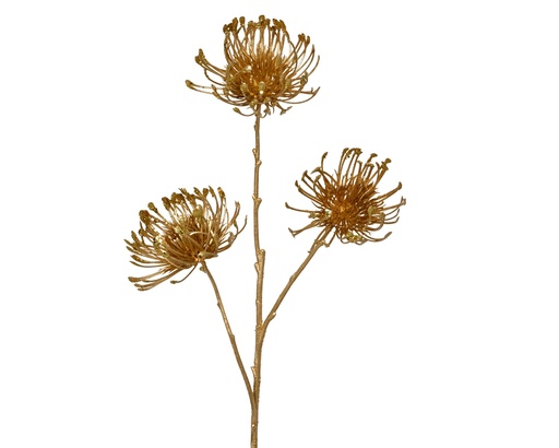 [4-701900] ***SPRAY PE GOLD L24.00-W22.00-H75.00cm