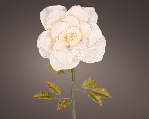 [4-481017] ***ROSE BO INDOOR CREAM L40.00-W40.00-H120.00cm-42L