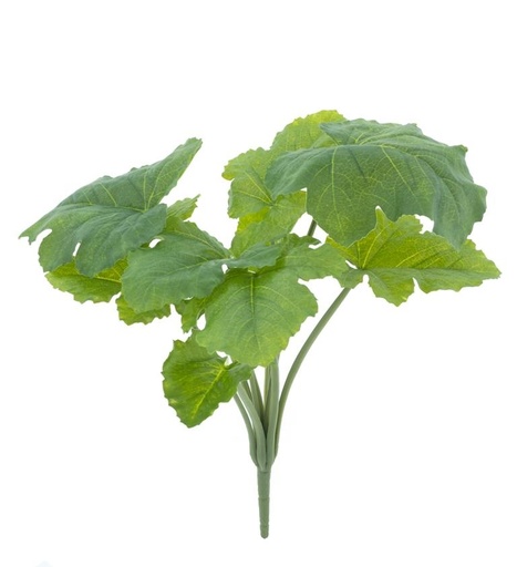 [12-33142-1] Croton bush green 45cm