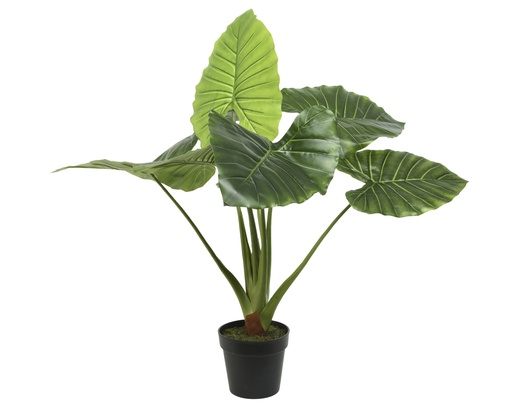 [4-801004] ***TARO PLASTIC GREEN L91-W91-H90cm