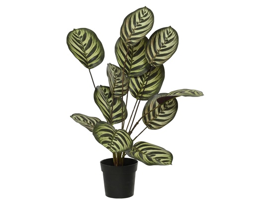 [4-899788] ***PLANT PE GREEN dia30-H55cm