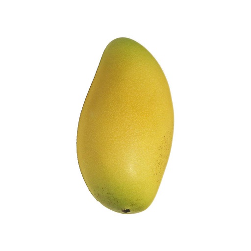 [12-70173-2] MANGUE QUASI RÉEL - JAUNE 6/BOÎTES- 12CM