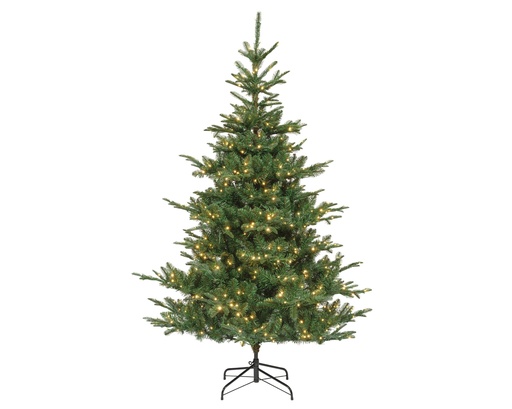[4-670281] ***KIENS FIR PRELIT GREEN/WARM WHITE/CLASSIC WARM dia165.00-H240.00cm-730L