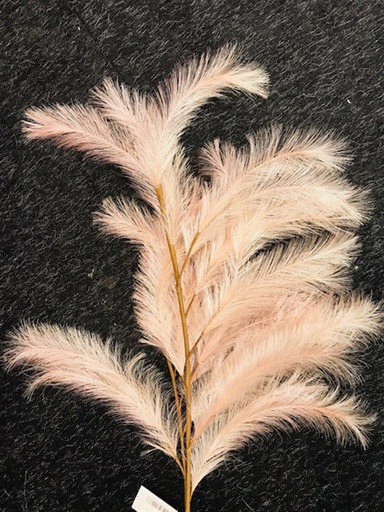 [HBX-312013005] RAMA PANICLE GRASS ROSA 100CM 