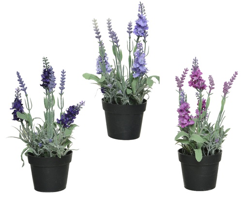 [4-800063] LAVANDA EN MACETA-25CM-3 COLORES SURTIDOS-UD
