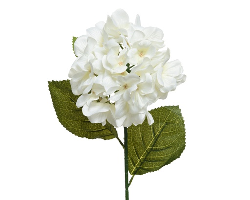 [4-804325] HORTENSIA BLANCA-66CM
