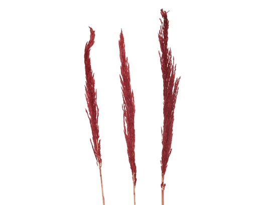 [4-220563] PLUME NATURAL L6-W12-H170CM