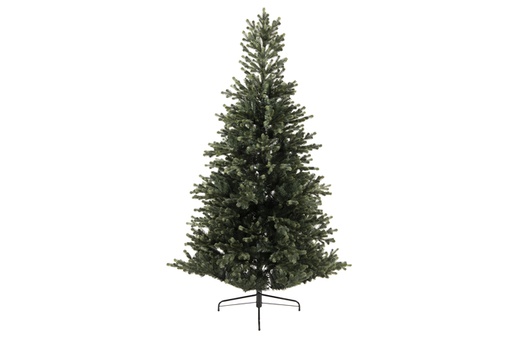 [4-684301] GENEVA FIR DIA116-H180CM