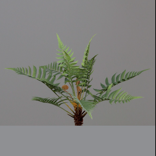 [DPI-55029] HELECHO 38CM
