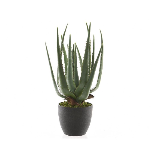 [4-802104] ALOE VERA E/MACETA 40CM