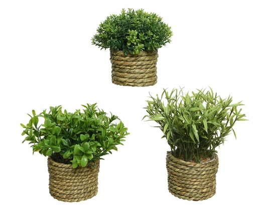 [4-808844] PLANT POLYESTER DIA16-H13CM