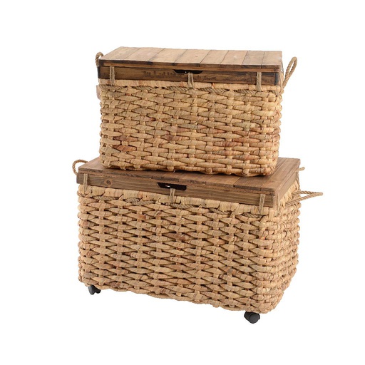 [4-838190] TRUNK WATERHYACINT L74-W44-H44CM