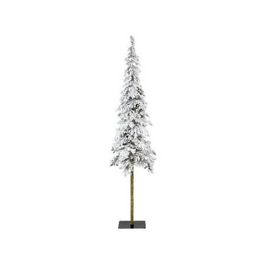 [4-680084] ALPINE FIR SNOWY DIA75-H300CM