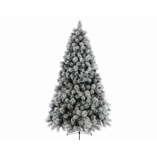 [4-689132] *c* SNOWY VANCOUVER MIXED PINE