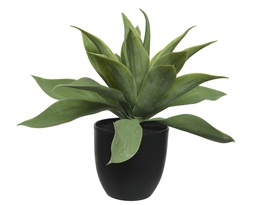 [4-801044] PLC AGAVE IN POT DIA37-H34.50CM