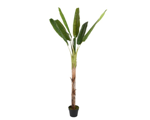 [4-802098] PLASTIC BANANA TREE IN POT L80-W80-H280CM