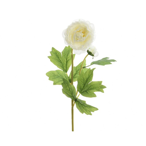 [4-802237] RANUNCULO SEDA SPRAY 57CM BLC