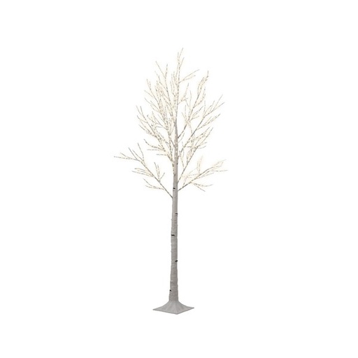 [4-492453] MICRO LED BIRCH TREE OUT  H220CM-750L