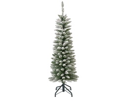 [4-684019] SNOWY PENCIL PINE  DIA41-H120CM