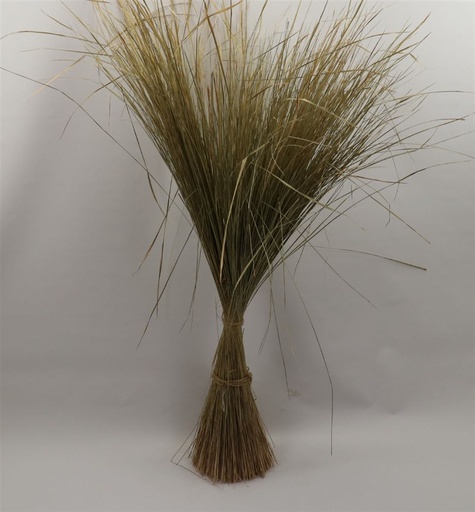 [HBX-312010010] ***Sheaf Green Grass L160.0