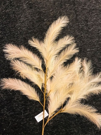 [HBX-312013003] RAMA PANICLE GRASS CREMA 100CM