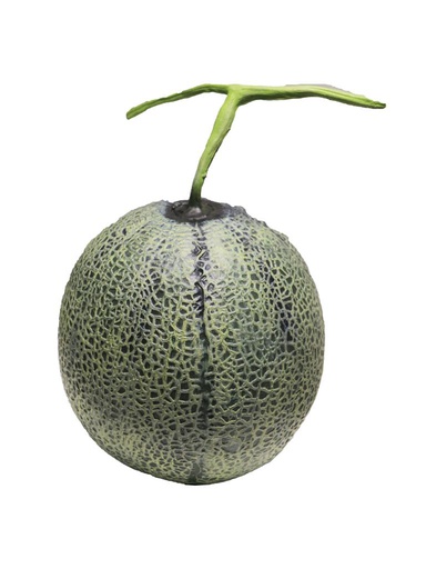 [12-70277-1] MELON CANTALOUPE 160MM