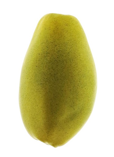 [12-70384-1] PAPAYA 17CM - CAJA 3 UNIDADES