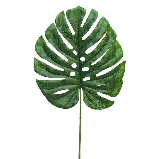 [12-31655-1] (Best) Monstera leaf Futura small 90cm green