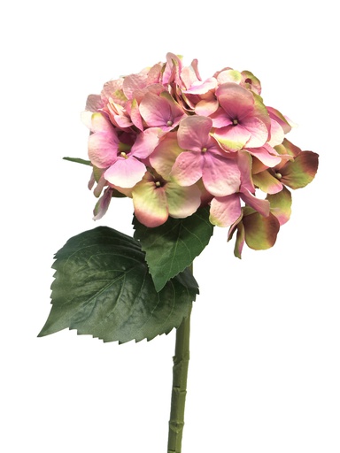 [12-12270-6] (Best) Hydrangea Artist dk pink48cm