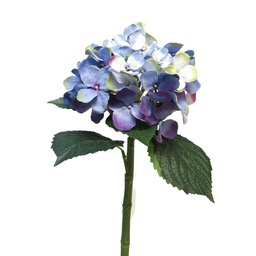 [12-12275-3] (Best) Hydrangea Artist blue/lavender 48cm