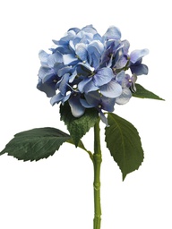 [12-12275-4] (Best) Hydrangea Artist blue 48cm