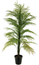 [12-51996-1] (Best) Areca palm in pot green 140cm