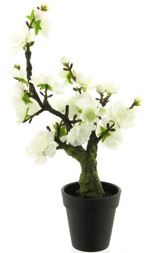 [12-93377-0] CEREZO EN MACETA - CREMA - 35CM