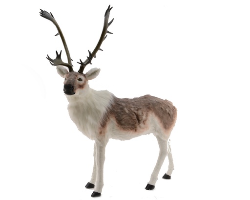 [4-580017] CERF - TEINT MARRON/BLC - 180X150CM 